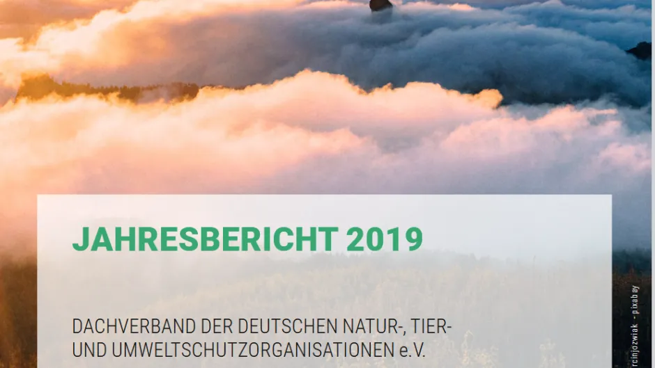 Screenshot Titelblatt DNR-Jahresbericht 2019 - Bergspitze im Wolkenmeer
